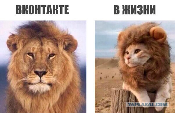 Журнал "Деградант" , предновогодней выпуск