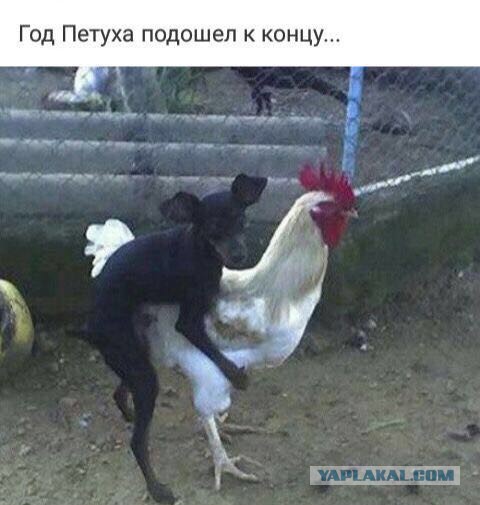 Предновогодняя распродажа