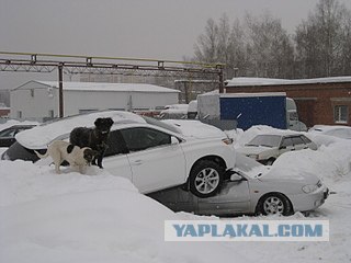 В Киеве мойщик разбил «Мерседес» клиента