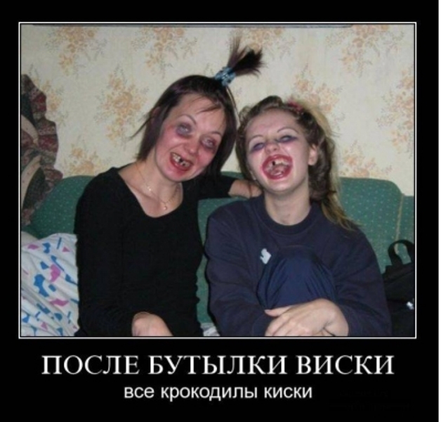 Перепись полигамных самцов на ЯПе