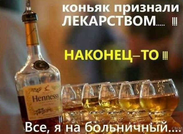 Весёлые картинки