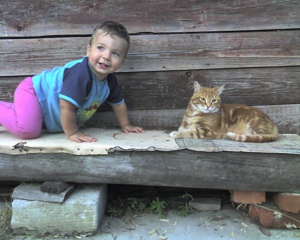 Котовторник объявляется открытым!