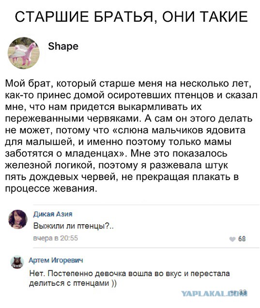 Прикольные комментарии и высказывания из Сети 23. 01.