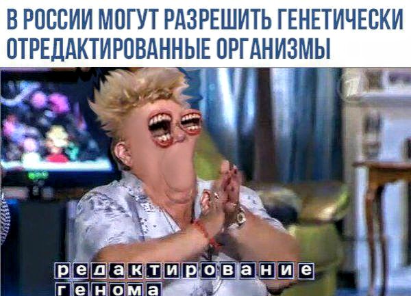 Сто и одна картинка в этот четверг