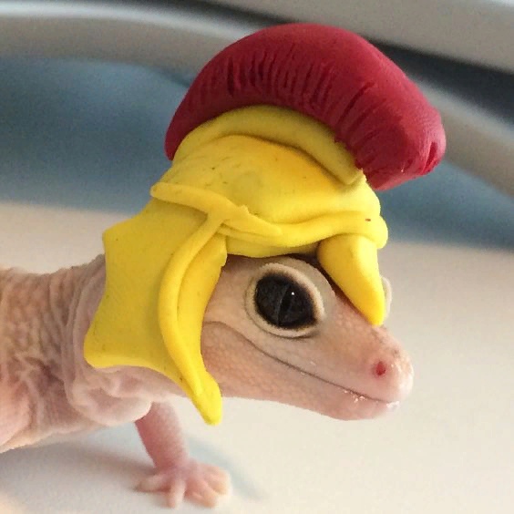 Живность из сети