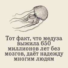 Смерть в океане. Почему от неё спасают только колготки