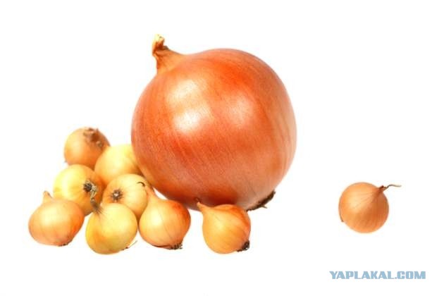 Уха с морепродуктами на молоке и сливках по американски (Clam Chowder)