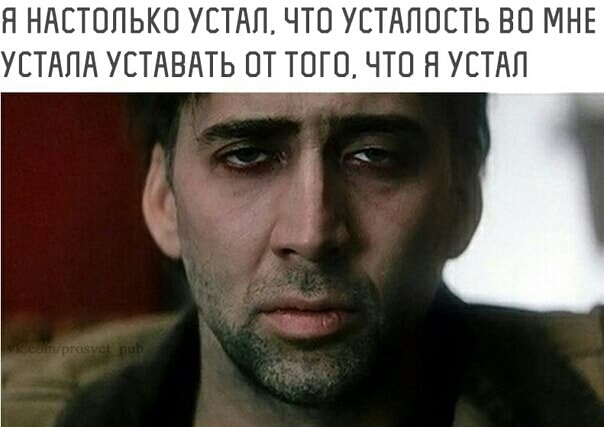 13346254.jpg