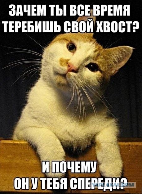 С ума сошла, что-ли?!