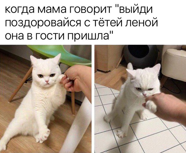 Немного картинок для настроения 28.01.20