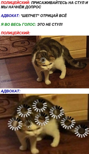 Бредзона 03.03.2020