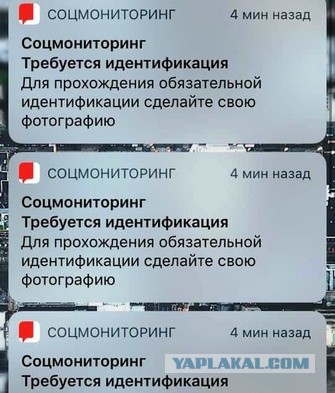 "Социальный мониторинг": как Москва издевается над запертыми в карантин больными