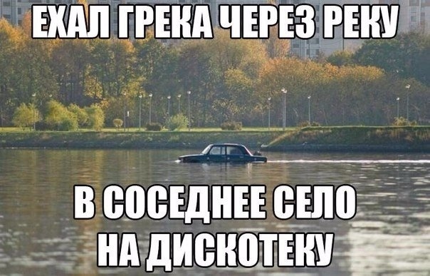 14398254.jpg