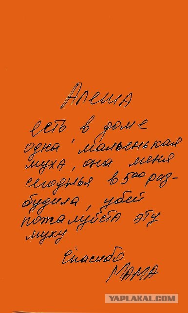 Фотожаба: осталось родить сына?