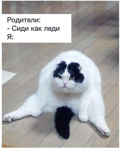 Немного картинок для настроения 77
