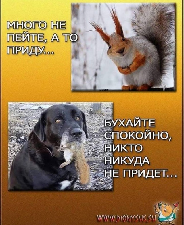 О пользе пьянства