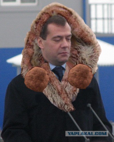 Фотожаба: Кто мои бубончики оторвал?!
