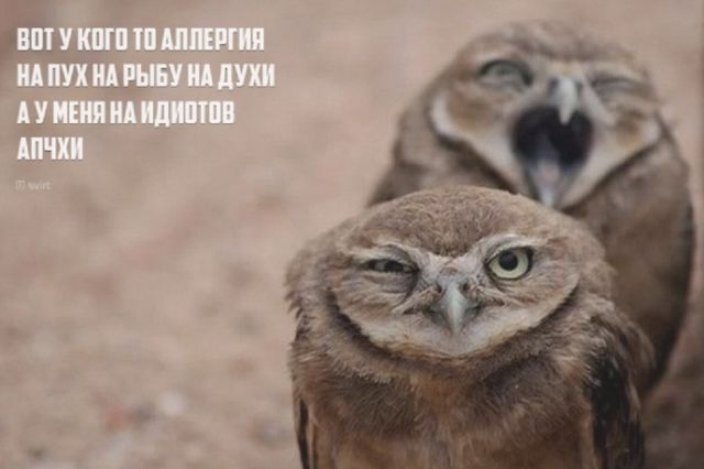 Памятник легендарному Мотороле открыт в центре Донецка