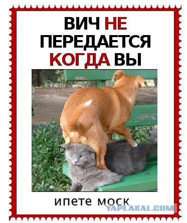 ВИЧ не передается...