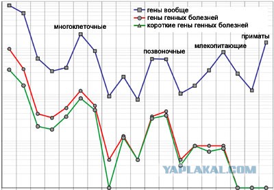 Мама воронежской малышки со СМА объяснила, почему не поделилась деньгами после сбора.
