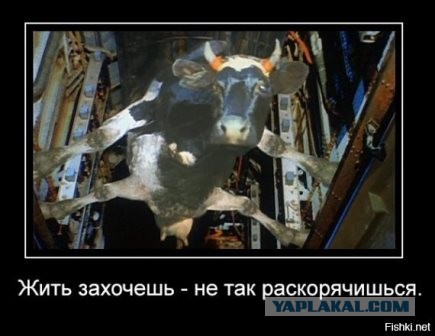 Донбасс готов повторить референдум и войти в состав России