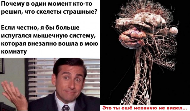 Бредзона 18.02.2021