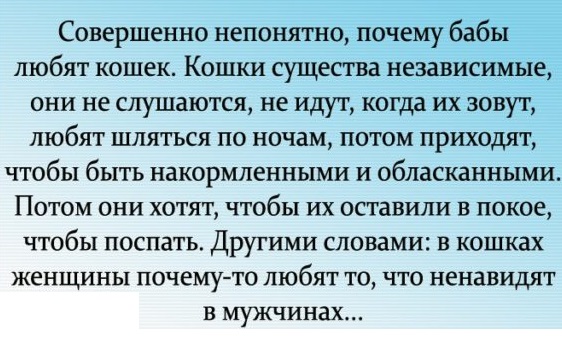 Весёлый полтишок 31.08