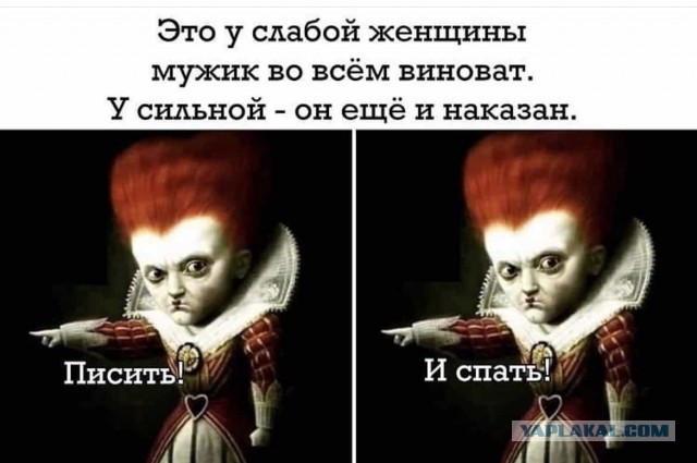 Баянисто-небаянистый юмор 7.02.22