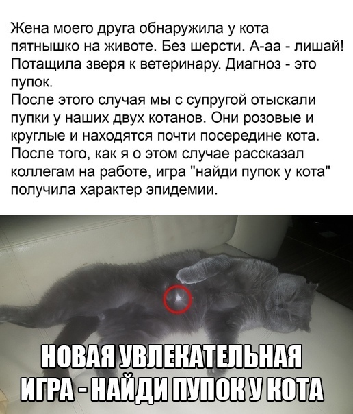 Картинки и мемы для настроения - 29