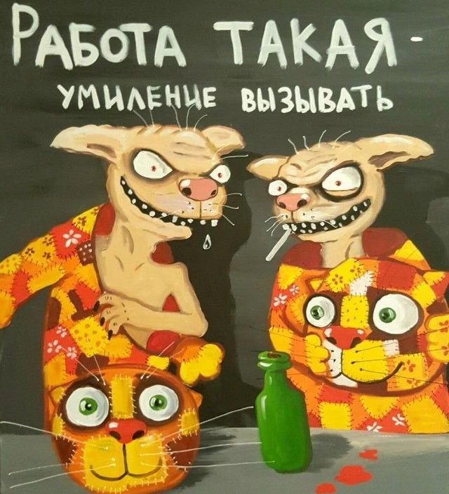 Несколько интересных фактов о кошках