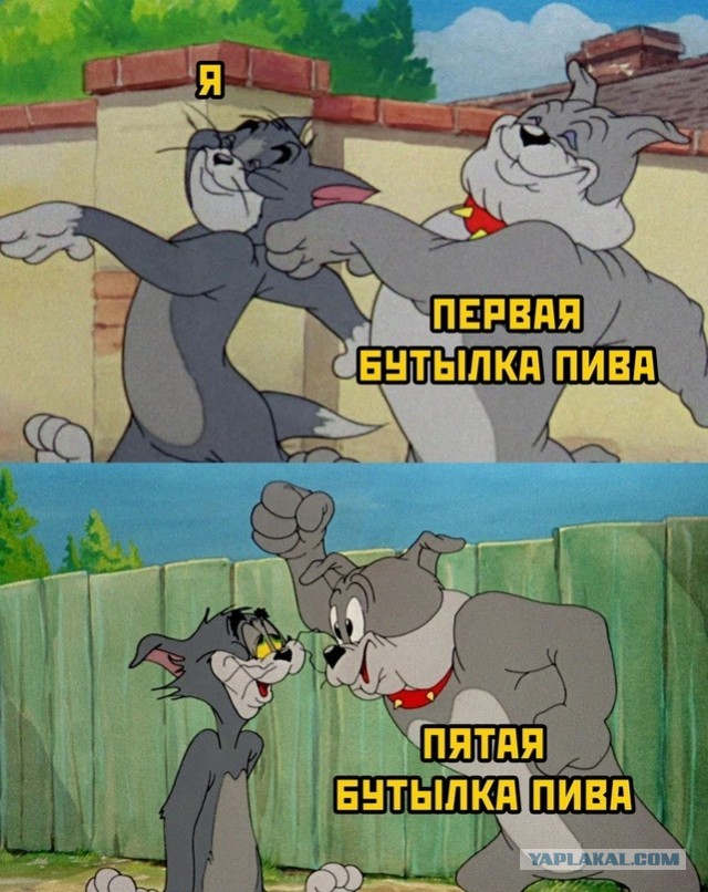 Весёлый полтишок 18.08.22