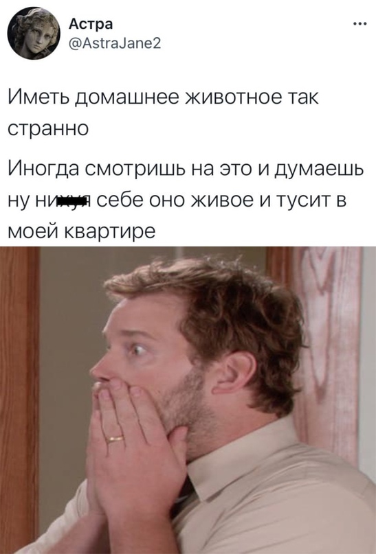 Картинки и мемы, всем хороших выходных