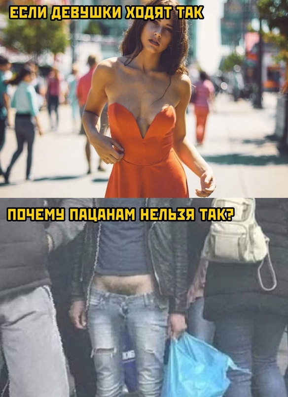 Весёлый полтишок 08.11.22