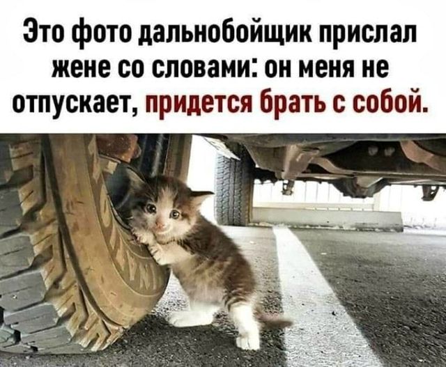 Немного картинок для настроения