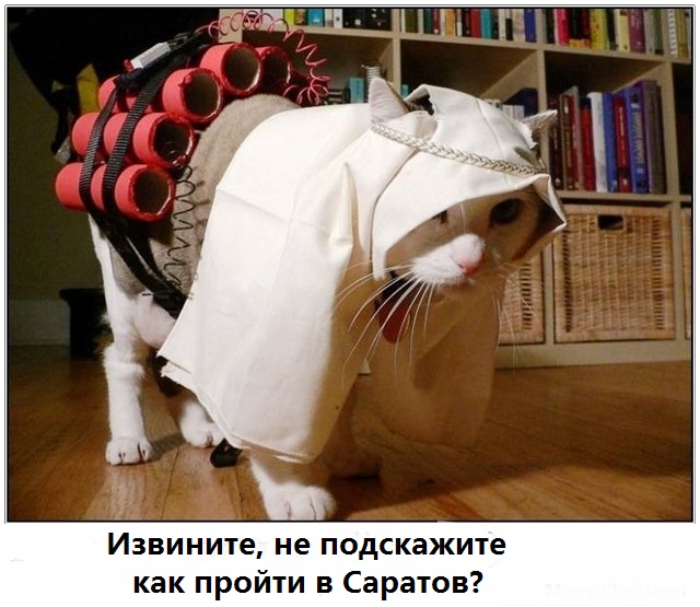 Сергей Лазарев исполнил песню Пашкета