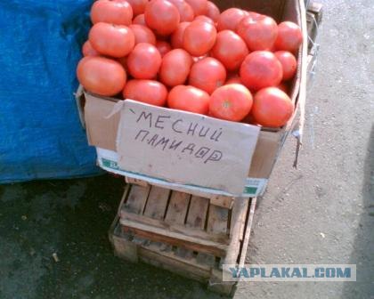 Приколы из Казахстана