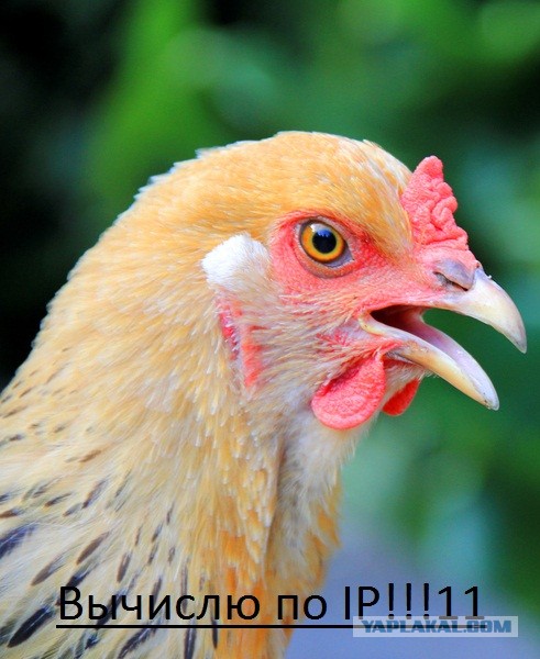 Яйца вкрутую