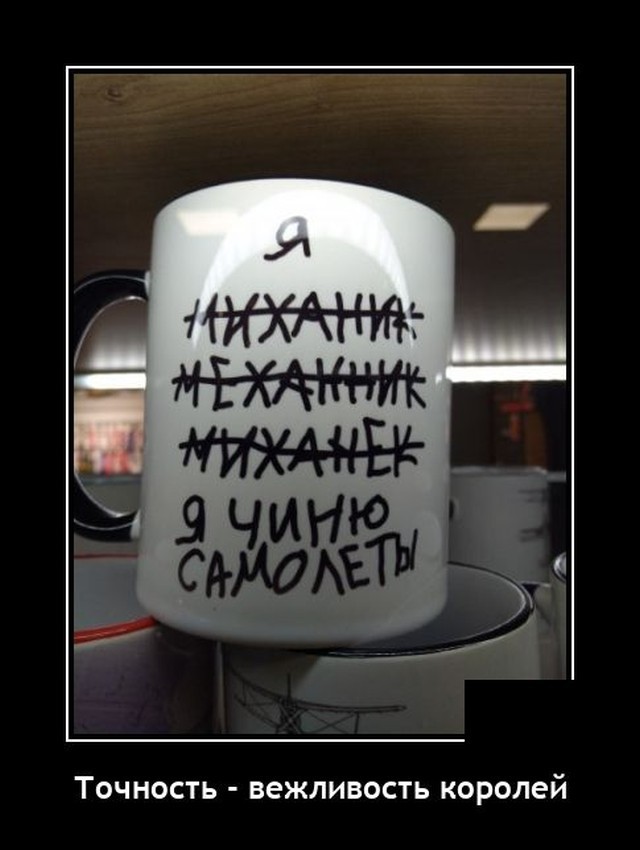 Весёлый полтишок 08.05.23