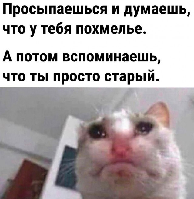 "Санта-Барбара" какая-то. Мужчина 22 года изменял жене с тёщей и оказался отцом братьев-близнецов супруги
