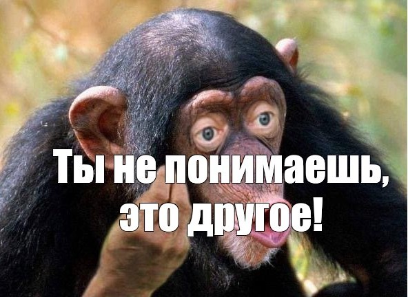 На юго-востоке Москвы толпа мигрантов избила семью и осталась безнаказанной — их защитник арестован