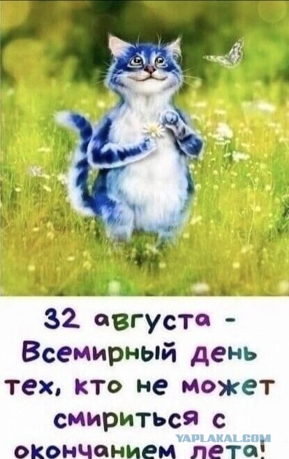«Я могу быть невинной хоть сто раз». Капсулы девственности покорили Азию
