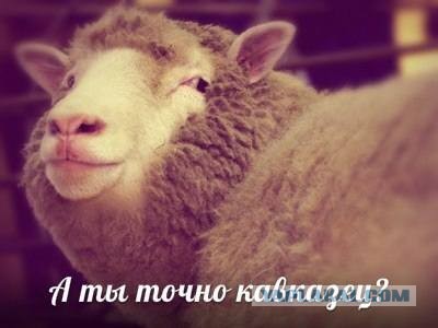 Грозненский фанат ФК "Терек"