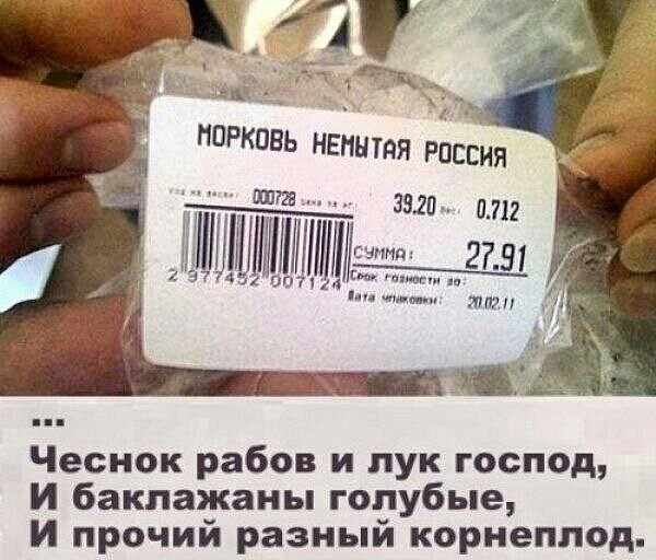 Картинок пост 1.11.2023