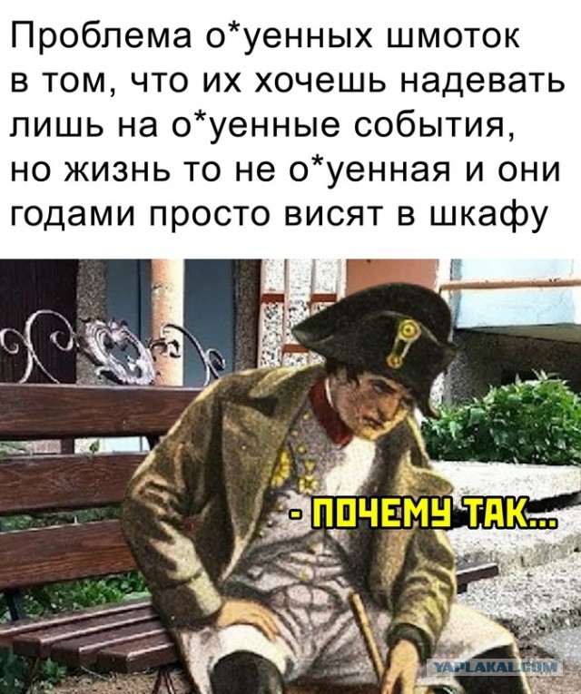 Весёлый полтишок 09.11.23