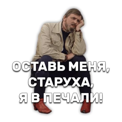 Трудности судейства на котовыставке