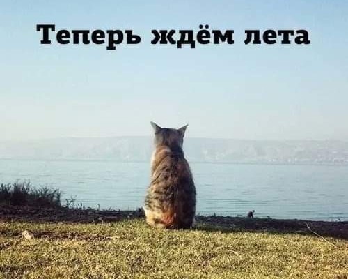 Улыбательные картинки для настроения