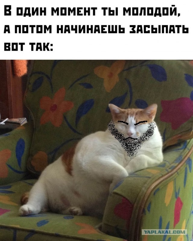 Весёлый полтишок 20.02.24