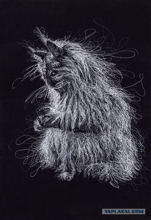 Белым по черному-2