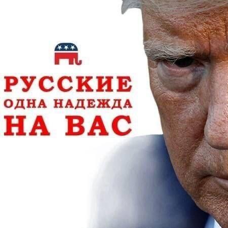 В столице США готовятся к выборам президента страны - закрывают щитами окна