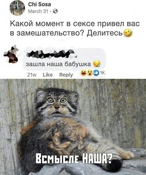Завалялось тут случайно немного забавных картинок